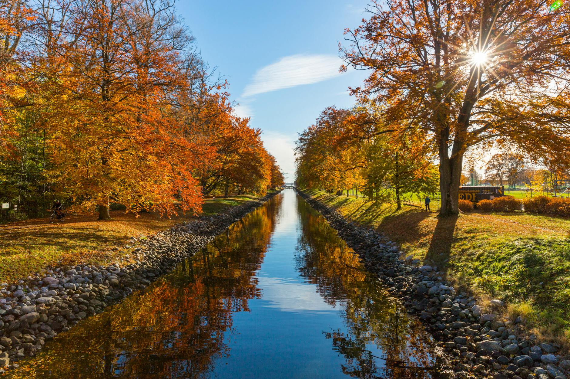 river between brown leafed trees during daytime