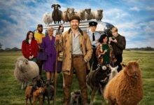 the sheep detectives uk review