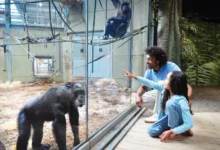 twycross zoo 2026 review